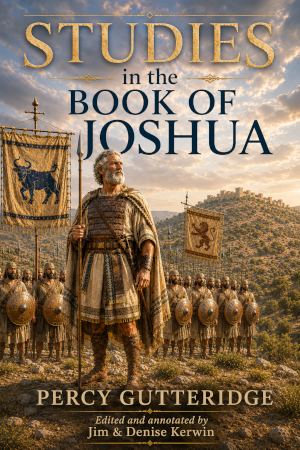 Cover of the forthcoming book, 'Studies in the Book of Joshua'